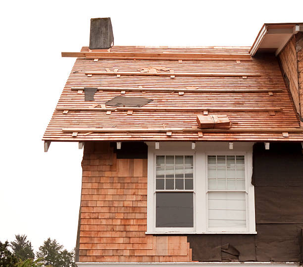 Affordable Siding Repair and Maintenance Services in Jasper, TX